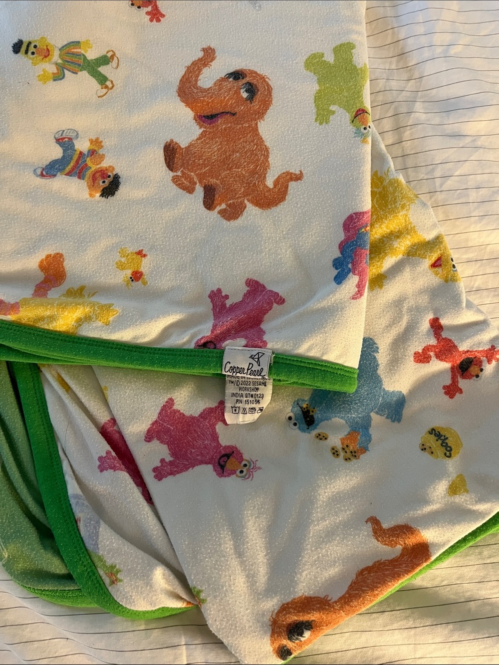 Copper Pearl 3 layer quilt Sesame Street